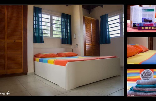 Sabal Palm Haus | Bonaire: Sabal Palm 50 guesthouse