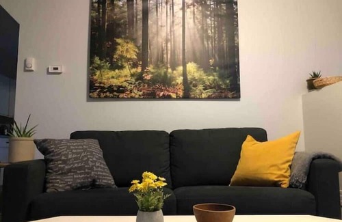 Sioux Lookout Haus | Cozy walk in ready tiny home in the heart of town, walking distance to hospital