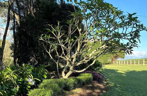 Kairi Hütte | Farmview Cottage, Kairi, Atherton Tablelands. A home away from home.