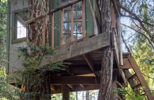 Shelton Kabine | Cozy 2-bedroom lakefront cabin with tranquil views
