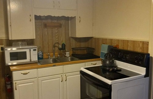 Waukegan Wohnung | Enjoyable 1-bedroom apartment in Historical Waukegan. IL with Wi-Fi.