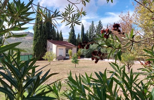 Olvera Hütte | Relax in a wonderful environment in our Casita "Cacahuete".