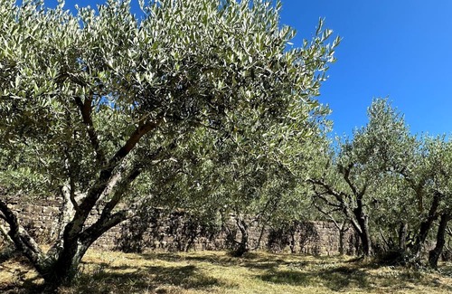 Oprtalj Hütte | Charming 2-bedroom cottage with swimmingpool in welcoming Oprtalj with WiFi, AC