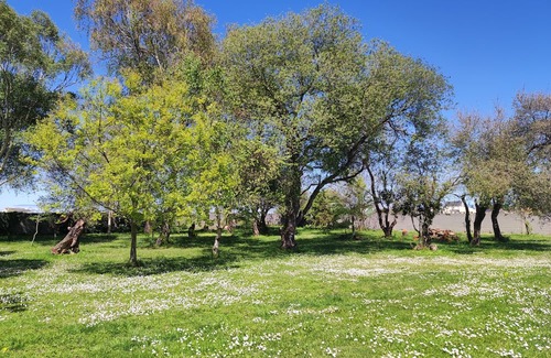 Figueras (Castropol) Haus | Beautiful and spacious country house in Ribadeo, with large property