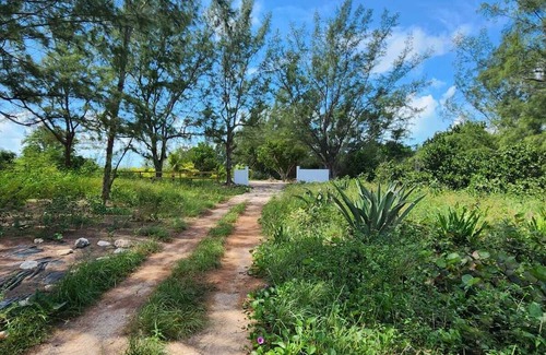 Winding Bay Hütte | Charming private cottage with WiFi and AC in beautiful Whale Point