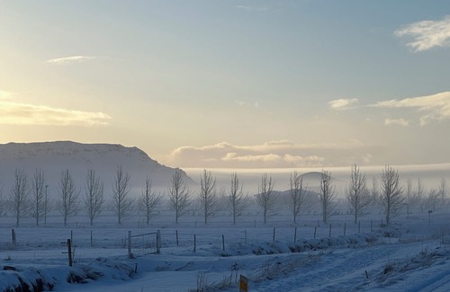 Sveitarfelagid Olfus Wohnung | Fancy Iceland? Central location in South Iceland.