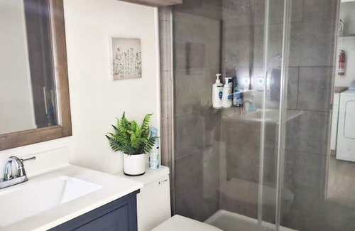 Dunedin Haus | Blue Bungalow: 2/2 SFH w fenced in yard