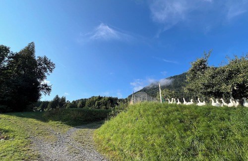 Hohenthurn Haus | Fair-priced and compact rooms overlooking Dobratsch (10 mins to Dreiländereck)