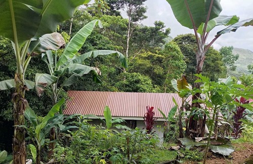 Pejibaye Haus | Tiny House Dans les Montagnes à Deux pas de la Rivière