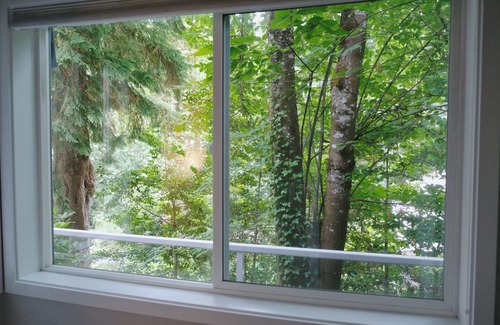 Mercer Island Wohnung | Entire 1b1b Mercer Island apartment