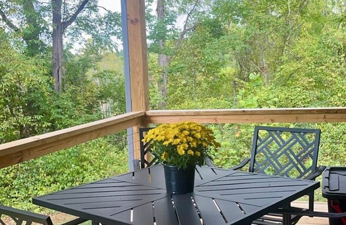 Damascus Kabine | NEW! Forty Winks 6 guest Modern Cabin in Damascus, VA!