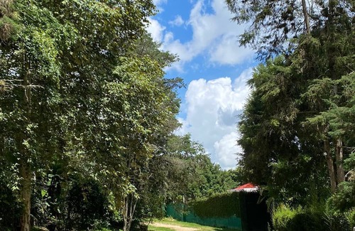 El Carrizal Haus | Charming hotel near the delightful "Pueblo Mágico", Coatepec, Ver.