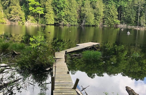 Irondale Kabine | Welcome to Glamor Rustic Retreats, your ideal getaway in Highlands East, Ontario