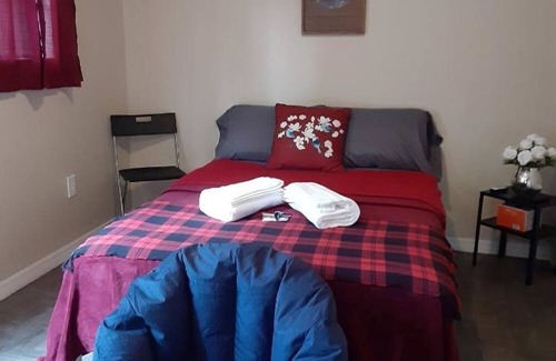 Cedar Hills Kabine | Cozy cabin with 1 bedroom and WiFi, AC in charming Jacksonville