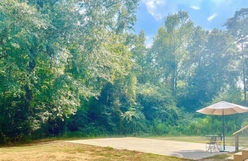 Clara Kabine | Tiny Cabin in the Woods!