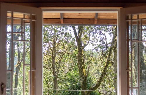 Metchosin Kabine | Cozy Cabin Getaway South Vancouver Island Quiet, Pet Friendly, Nature, Relax