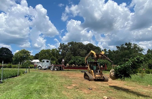 Jersey Hütte | Farm Stay - Spend the night in a converted grain silo on a working tree farm!