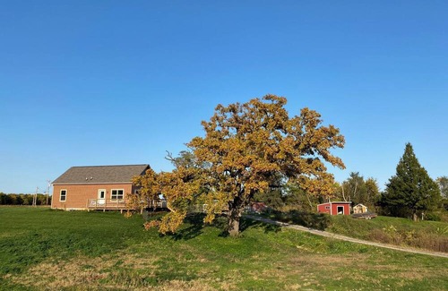 Milan Kabine | Cozy cabin on family farm. Surrounded by nature, yet close to the Quad Cities.