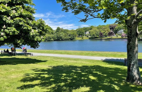 Dartmouth Haus | CharmingBrand new 3-bedroom house with WiFi and AC in peaceful Dartmouth.