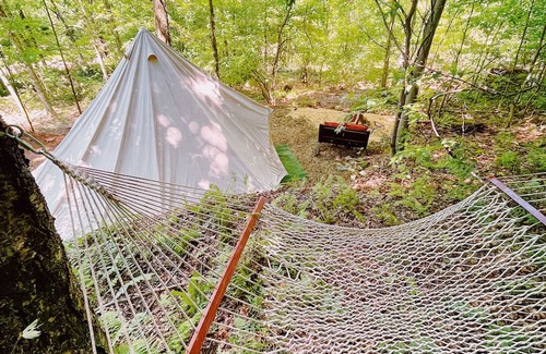 Shinglehouse Wohnmobilvermietung | Glamping Tent in Port Allegany