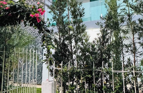 Capoeiras Haus | Quarto Confortável em Casa Grande