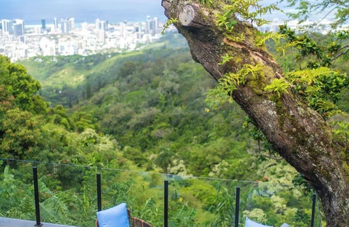 Manoa Haus | Tropical Jungle Ocean View Guest House