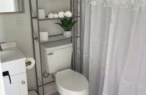 Fort Myers Kabine | Amanecer en la Piscina