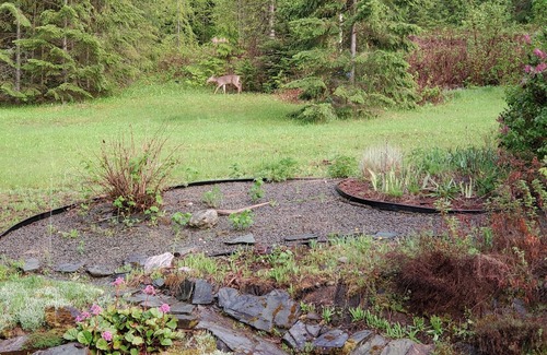 Salmon Arm Kabine | Glow, a canvas cottage with lake views and lake access. Glamping at its finest.