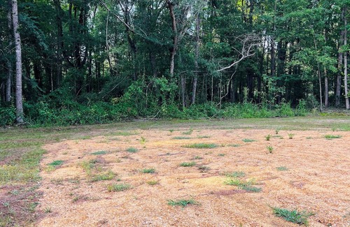 Grady Wohnmobilvermietung | Enjoy the peaceful country scenery and the serenity of being one with nature!