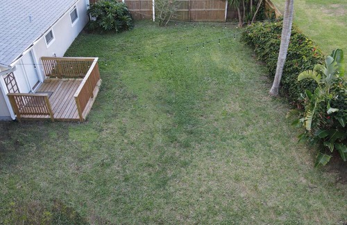 Merritt Island Haus | Merritt Island Trent Art House