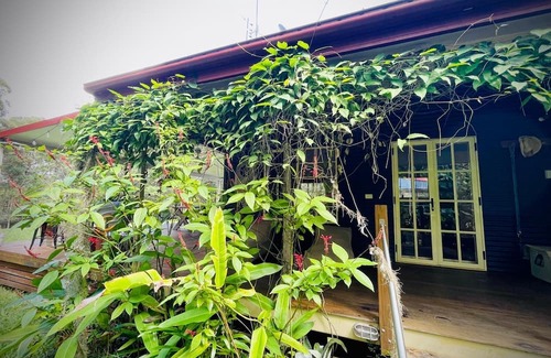 Cootharaba Hütte | Relaxing Family-Friendly Vacation Home with a nature view in Noosa Hinterland!