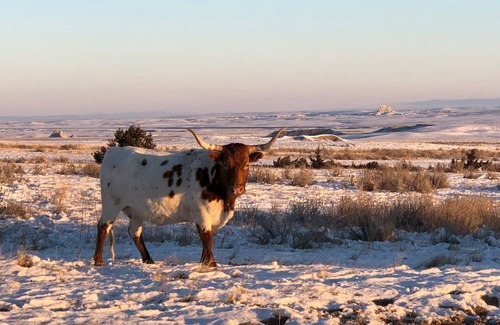 Sioux County Kabine | Ranch Style Cabin House