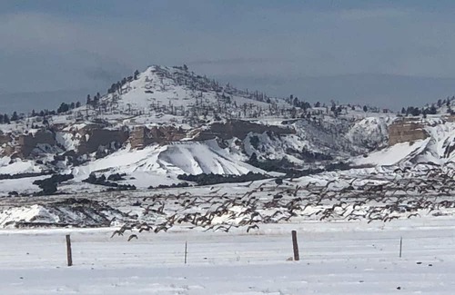 Sioux County Kabine | Ranch Style Cabin House