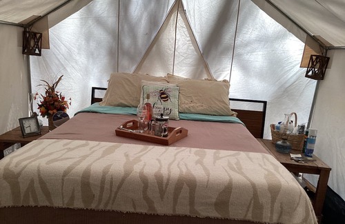 Turtletown Wohnmobilvermietung | Cozy tent with all conveniences of home