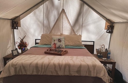 Turtletown Wohnmobilvermietung | Cozy tent with all conveniences of home