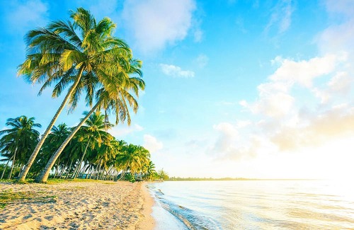 Greolieres les Neiges Wohnung | Petit Ours Vous Accueil Pour Profiter Dune Parenthèse Détente à la Montagne