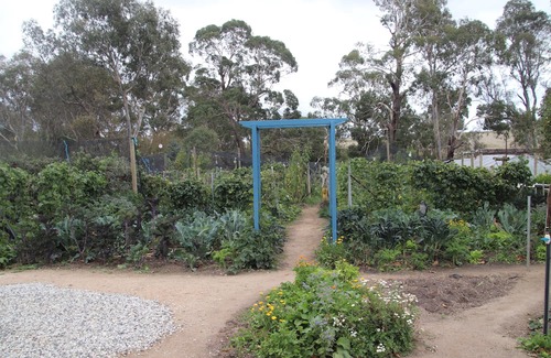 Metcalfe Haus | Unwind in a cosy bungalow in the midst of our organic permaculture mini-farm.