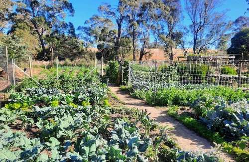 Metcalfe Haus | Unwind in a cosy bungalow in the midst of our organic permaculture mini-farm.