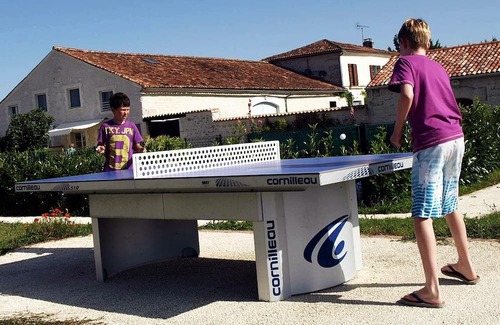 Brives-sur-Charente Wohnung | La Treille, Studio Avec vue sur Jardin
