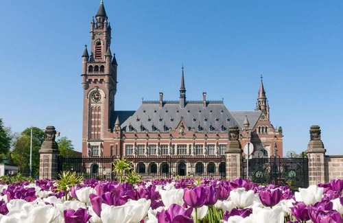 The Hague Center Haus | Ensuring a Very Comfortable & Memorable Stay! Pet-friendly Property!