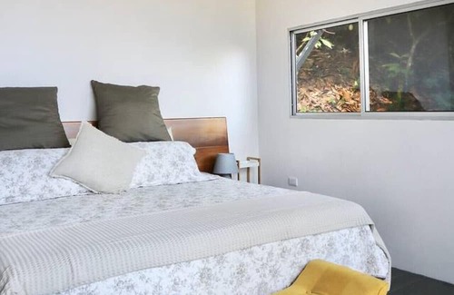 Parrita Haus | Experience nature,amidst nearly 900 tropical cacao trees!