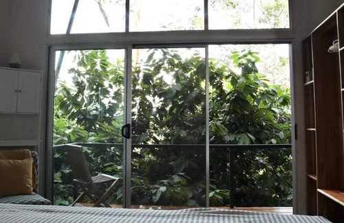 Parrita Haus | Experience nature,amidst nearly 900 tropical cacao trees!