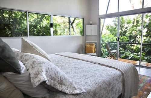 Parrita Haus | Experience nature,amidst nearly 900 tropical cacao trees!