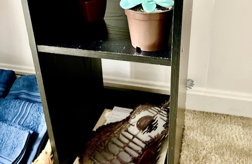 Boonsboro Haus | SRV Room @ Music House Please Read! Half-Bath Only!