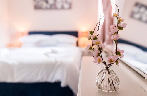 Mynachlogddu Hütte | Meini Glas, Mynachlogddu