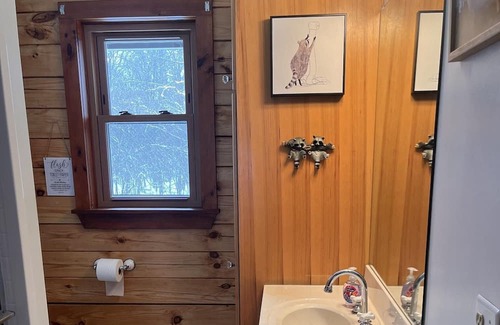 Geneseo Kabine | The Cozy Cabin On Long Point