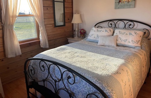 Geneseo Kabine | The Cozy Cabin On Long Point