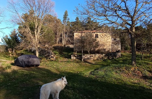 Tarouca Hütte | Casa Florestal @quintafelizardas