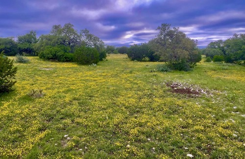Telegraph Haus | Exclusive 500 Acre High Fenced Ranch, Awesome Big Sky Views, Total Eclipse