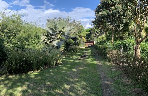 Palma Wohnung | Studio cabin with AC & WiFi located in a Tropical Paradise